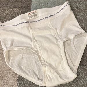 Fruit of the Loom Men's Classic White Briefs